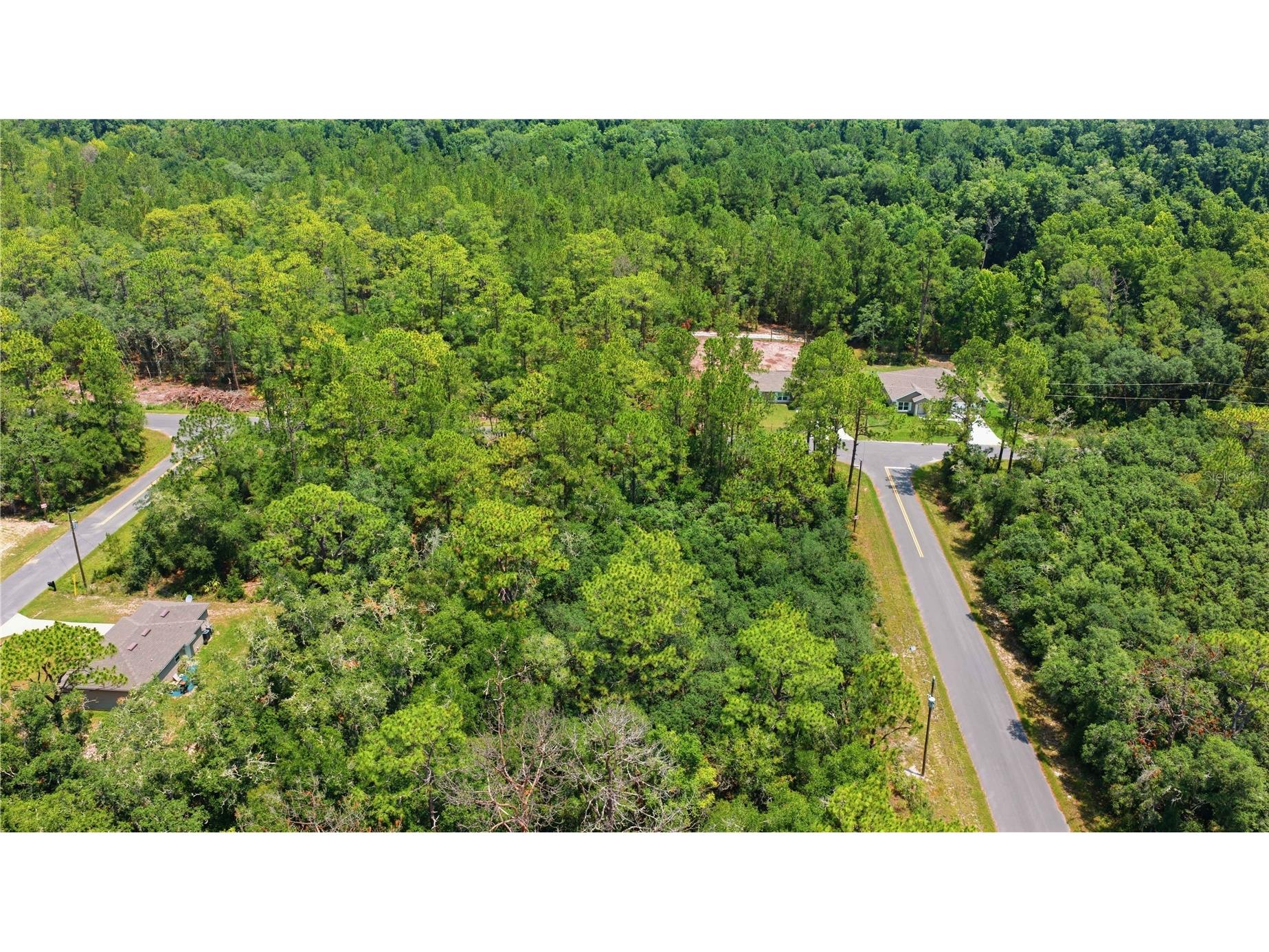 TBD Locust Terrace Trail #LOT 12 Ocala FL 34472 OM727661 image5