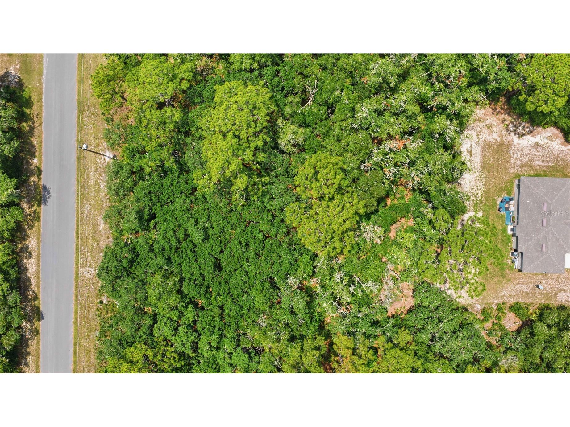 TBD Locust Terrace Trail #LOT 12 Ocala FL 34472 OM727661 image8