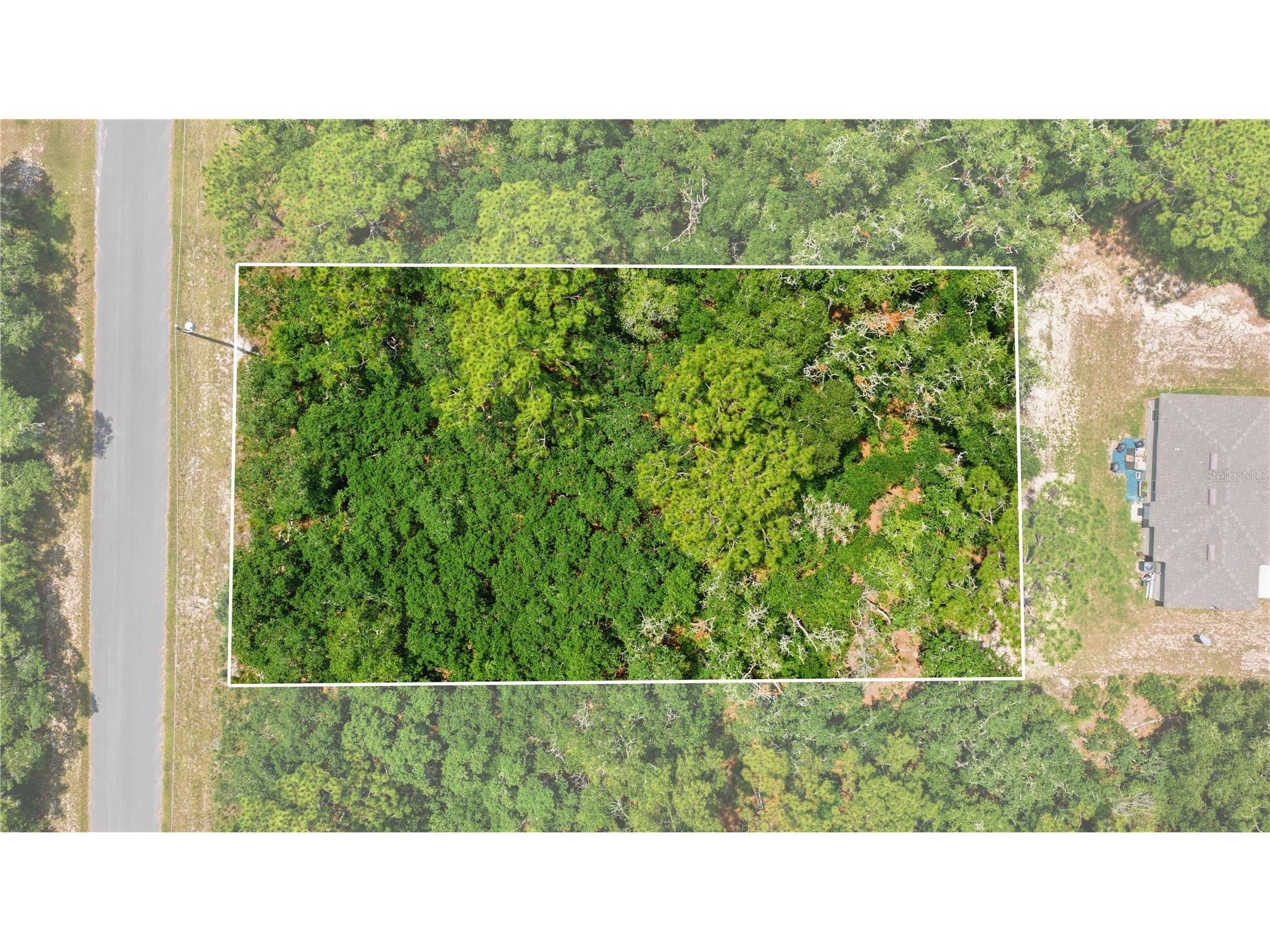 TBD Locust Terrace Trail #LOT 12 Ocala FL 34472 OM727661 image9