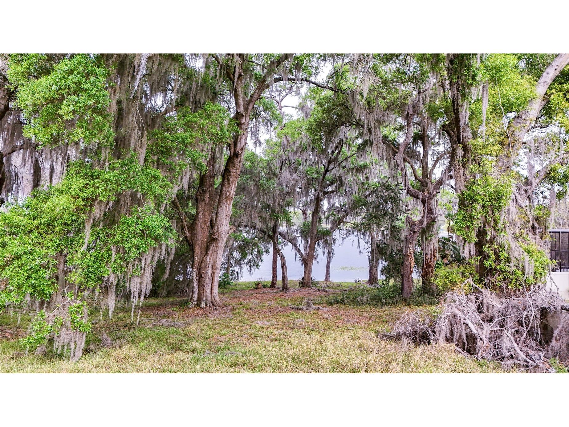 TBD LOT 01000 Silver Drive Umatilla FL 32784 - South Twin Lake G5109980 image50