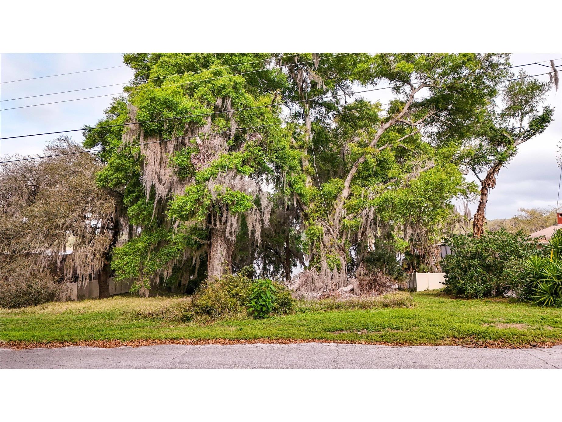 TBD LOT 01000 Silver Drive Umatilla FL 32784 - South Twin Lake G5109980 image58