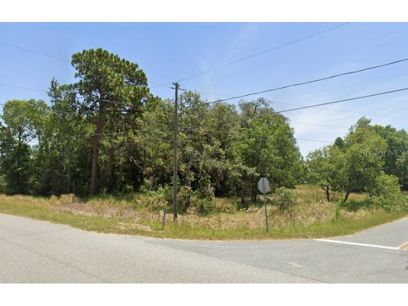 TBD LOT 1 Oak Trail Ocala FL 34472 OM659938 image1
