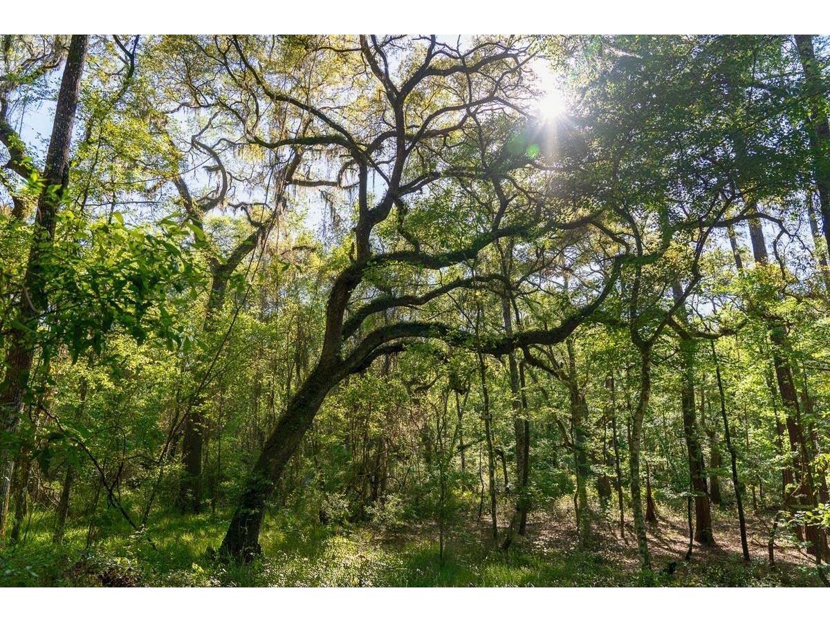 TBD LOT 10 10th Terrace Live Oak FL 32060 O6370623 image1