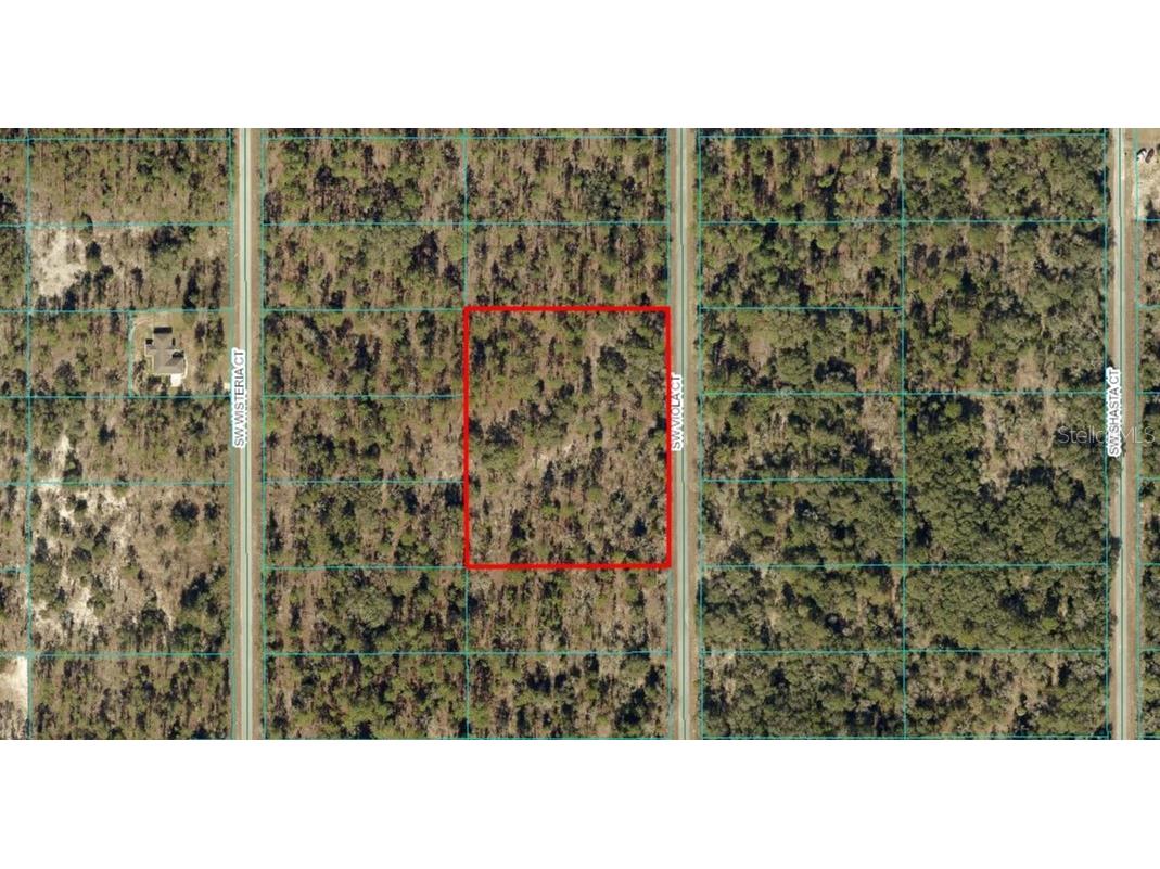 TBD LOT 10 SW Viola Court Dunnellon FL 34431 OM683013 image1