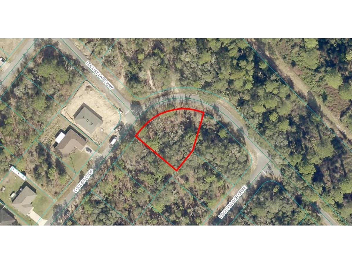 TBD LOT 11 Locust Loop Ocala FL 34472 OM699800 image1