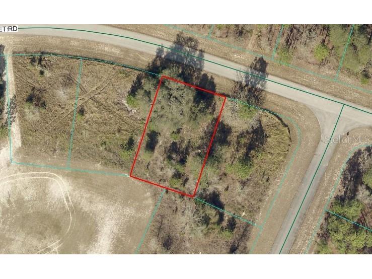 TBD LOT 11 SW 144th St Road Ocala FL 34473 OM722908 image1