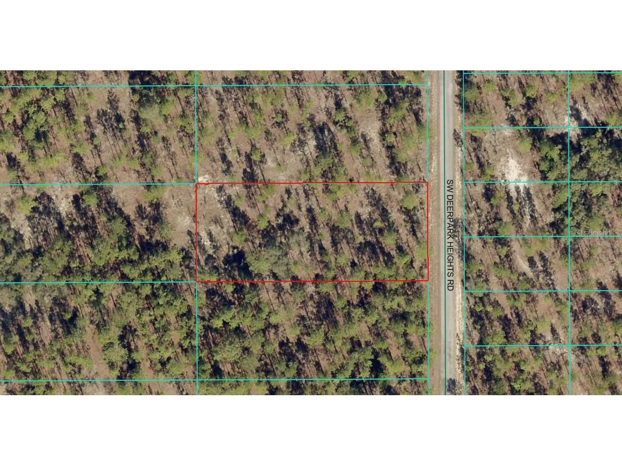 TBD LOT 11 SW Deerpark Heights Road Dunnellon FL 34431 OM709995 image1