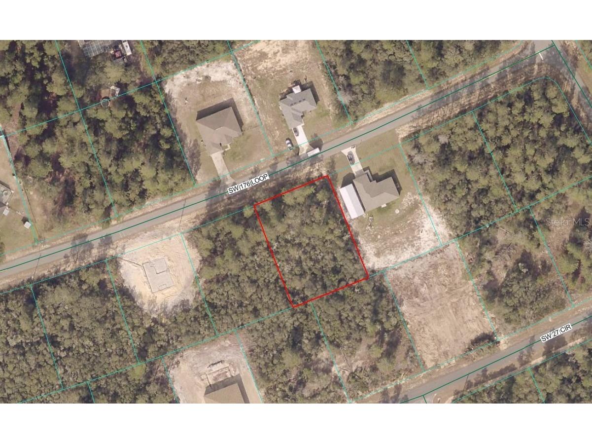 TBD LOT 13 SW 176th Loop Ocala FL 34473 OM718975 image1