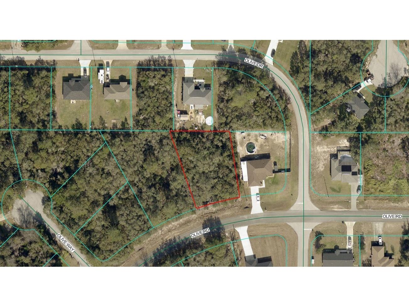 TBD LOT 17 Olive Road Ocala FL 34472 OM715470 image1