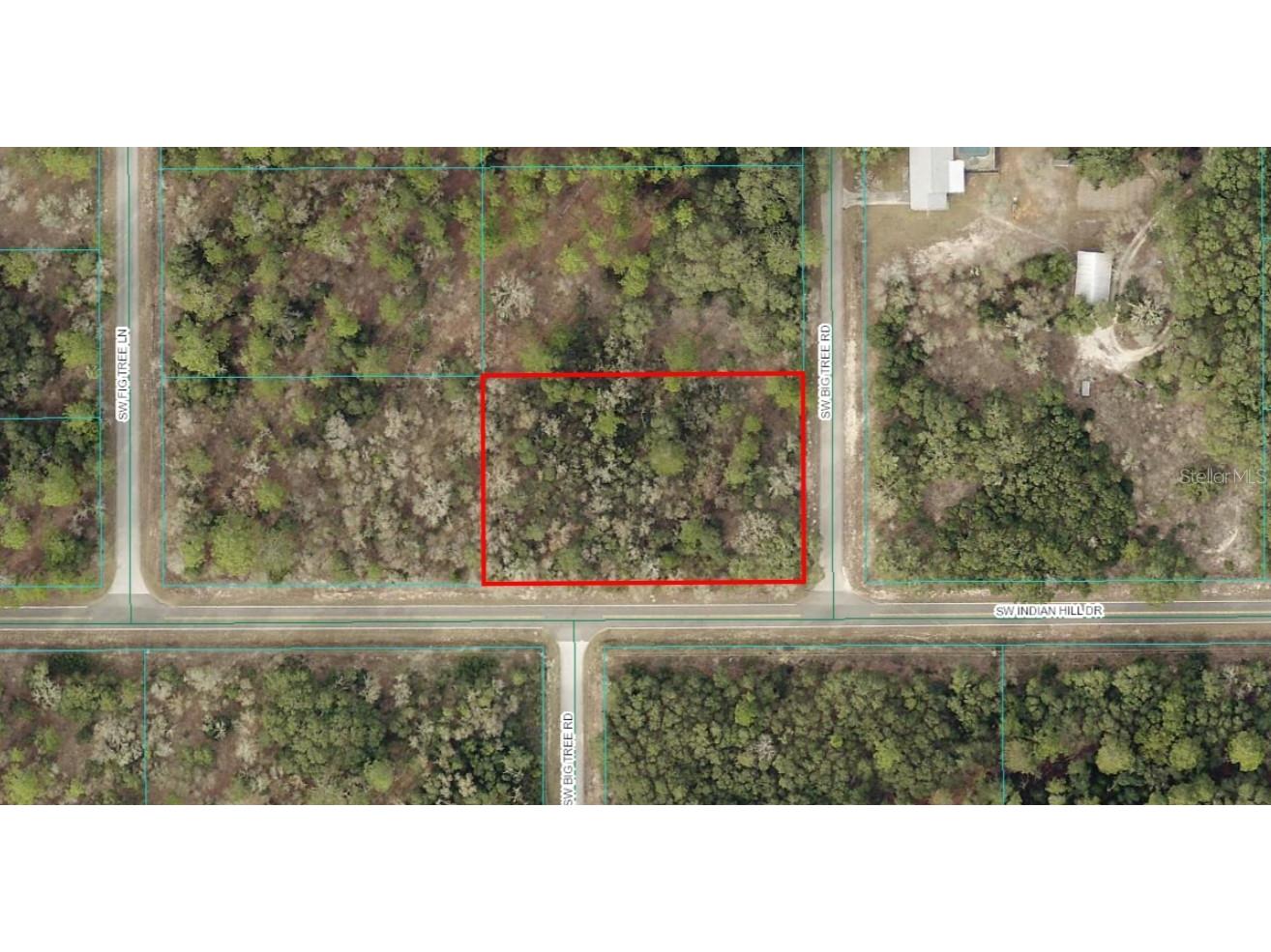 TBD LOT 17 SW Big Tree Road Dunnellon FL 34431 OM689693 image1