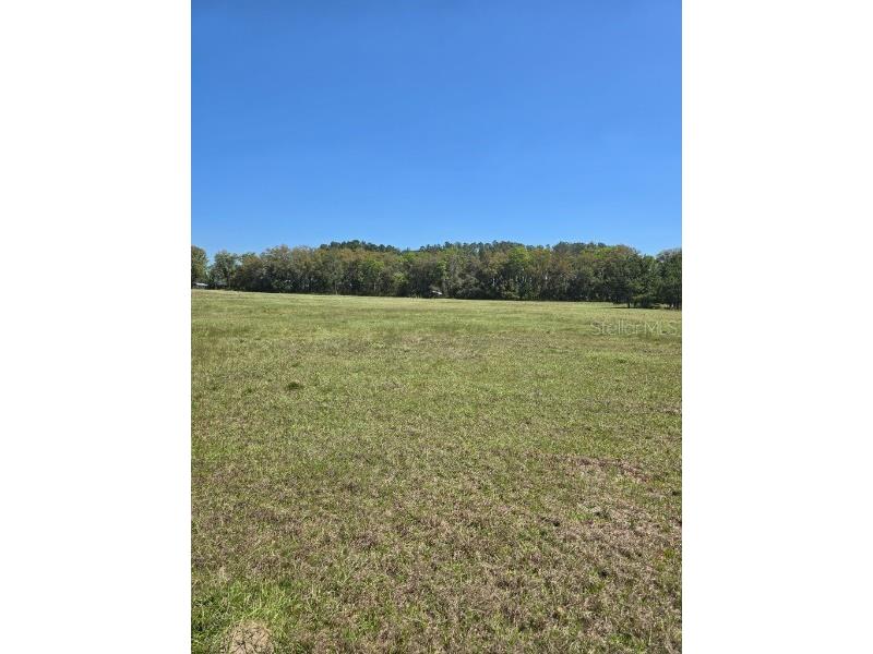 TBD (LOT 2) 55th Place Mc Alpin FL 32062 A4687203 image10