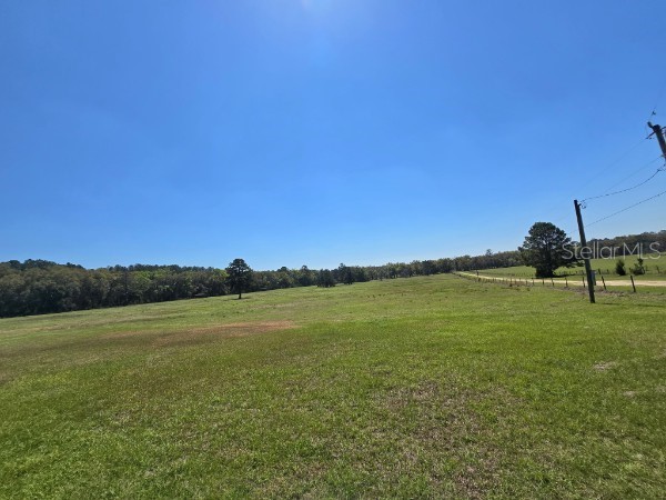 TBD (LOT 2) 55th Place Mc Alpin FL 32062 A4687203 image11