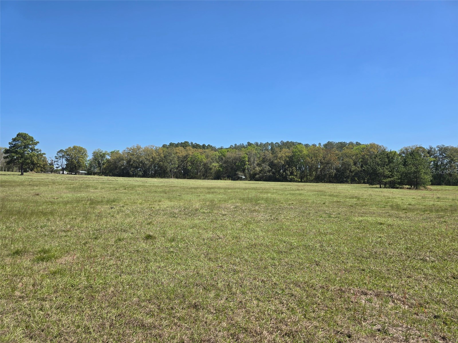 TBD (LOT 2) 55th Place Mc Alpin FL 32062 A4687203 image12