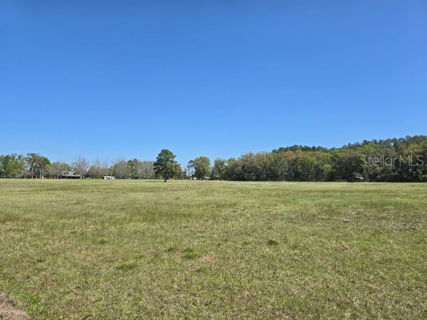 TBD (LOT 2) 55th Place Mc Alpin FL 32062 A4687203 image13