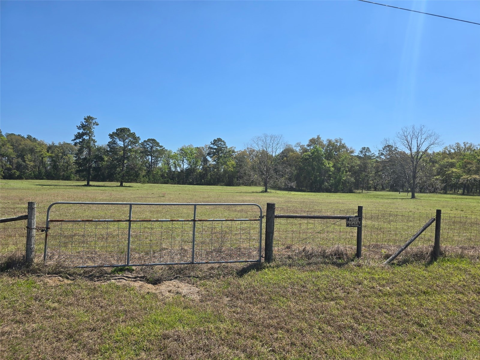TBD (LOT 2) 55th Place Mc Alpin FL 32062 A4687203 image14