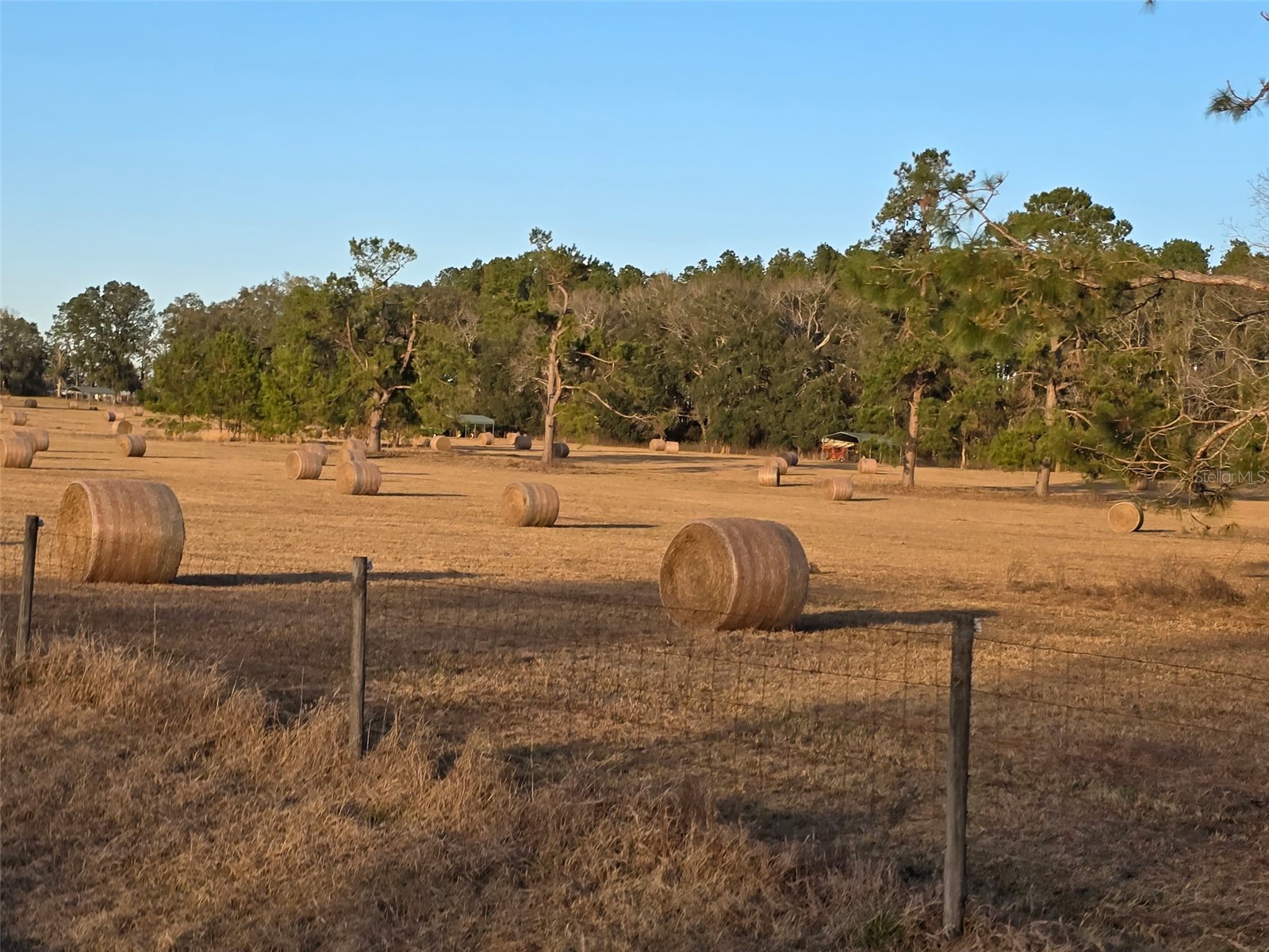 TBD (LOT 2) 55th Place Mc Alpin FL 32062 A4687203 image15