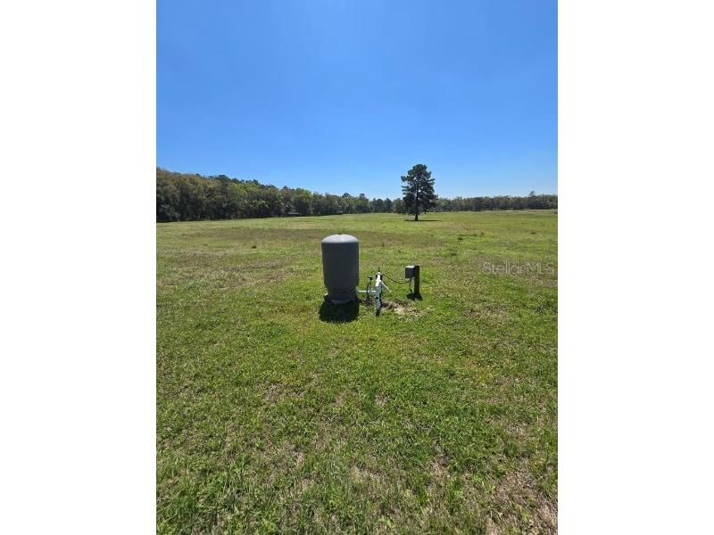 TBD (LOT 2) 55th Place Mc Alpin FL 32062 A4687203 image2