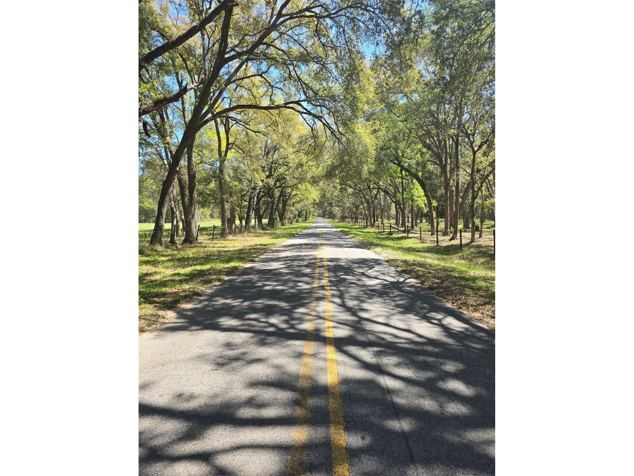 TBD (LOT 2) 55th Place Mc Alpin FL 32062 A4687203 image4