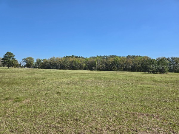 TBD (LOT 2) 55th Place Mc Alpin FL 32062 A4687203 image6