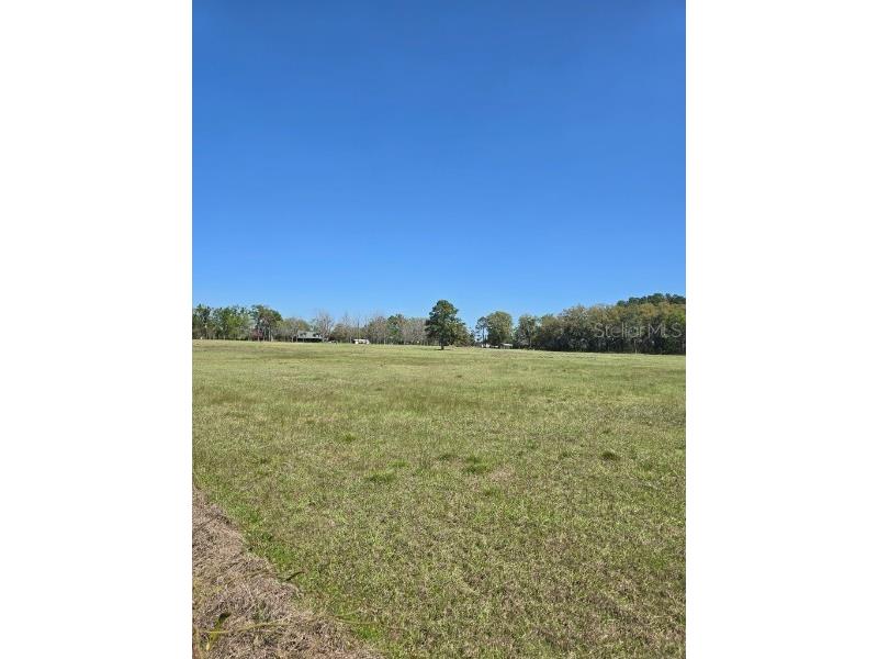 TBD (LOT 2) 55th Place Mc Alpin FL 32062 A4687203 image7