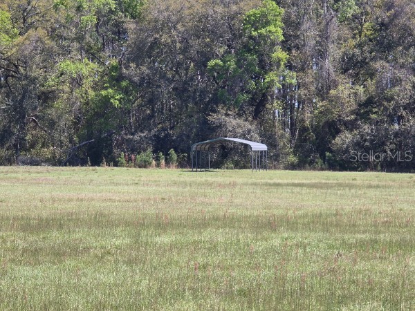 TBD (LOT 2) 55th Place Mc Alpin FL 32062 A4687203 image8