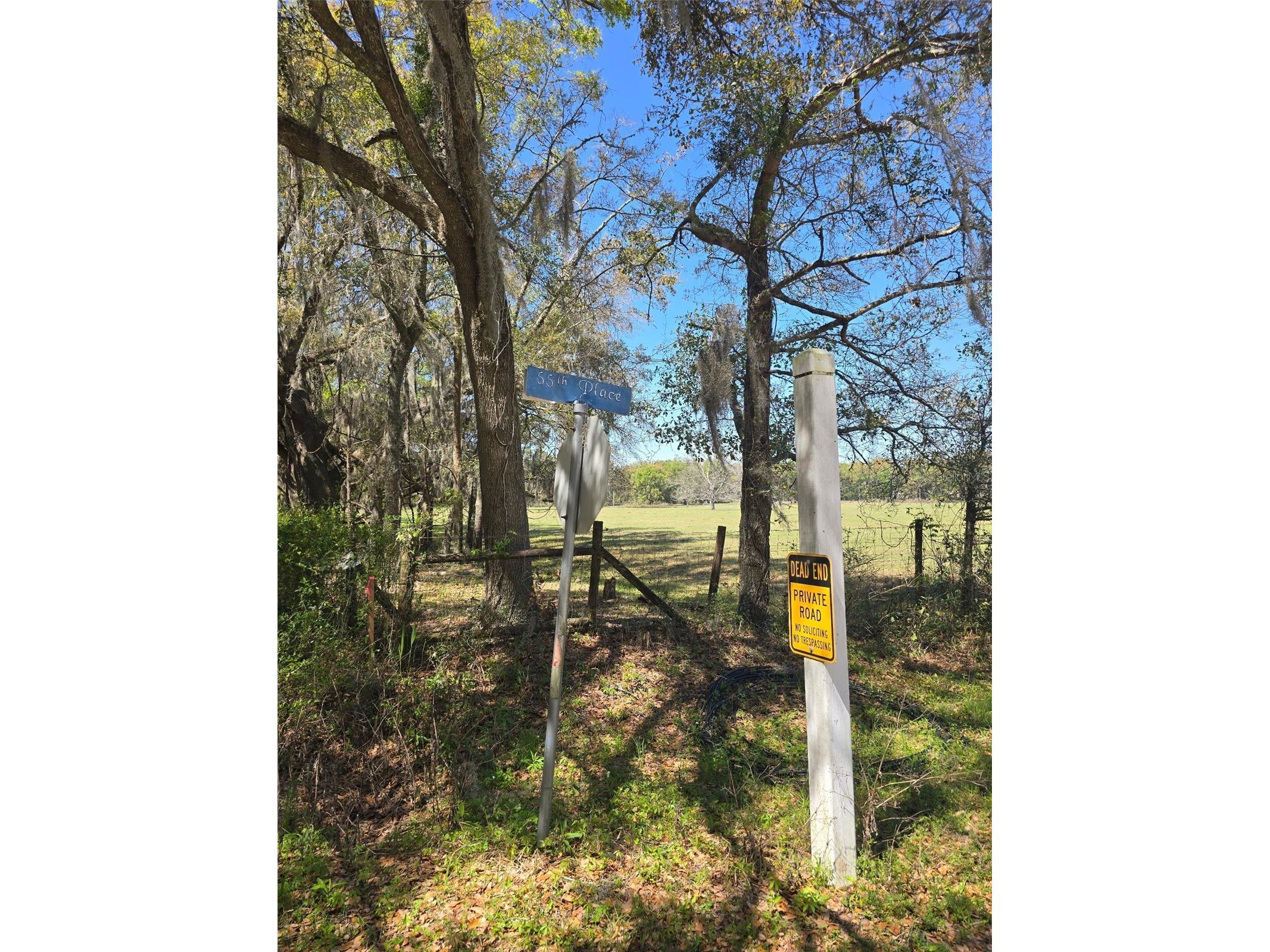 TBD (LOT 2) 55th Place Mc Alpin FL 32062 A4687203 image9