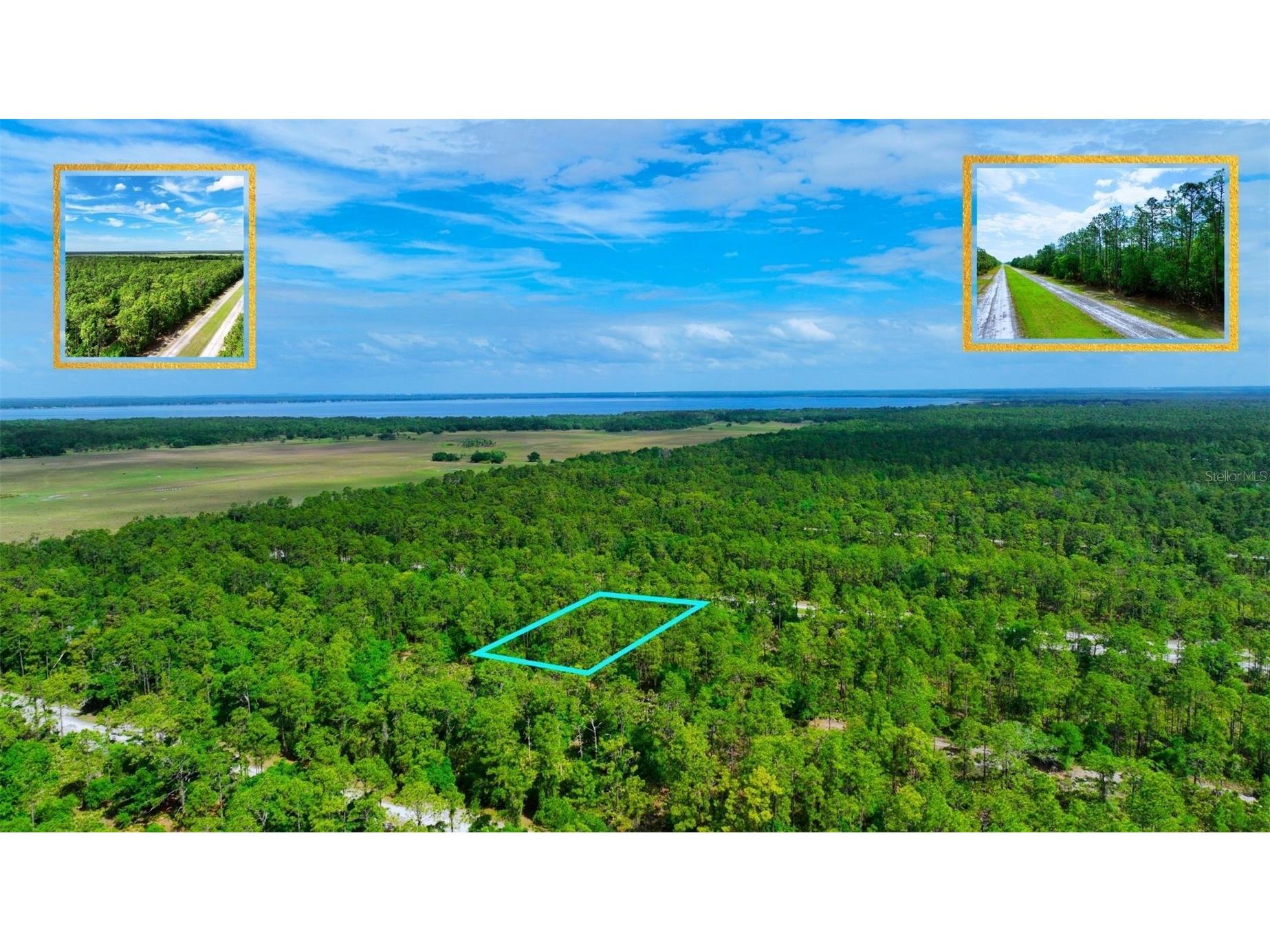 TBD Lot 20 Japonica Avenue Indian Lake Estates FL 33855 A4689753 image5