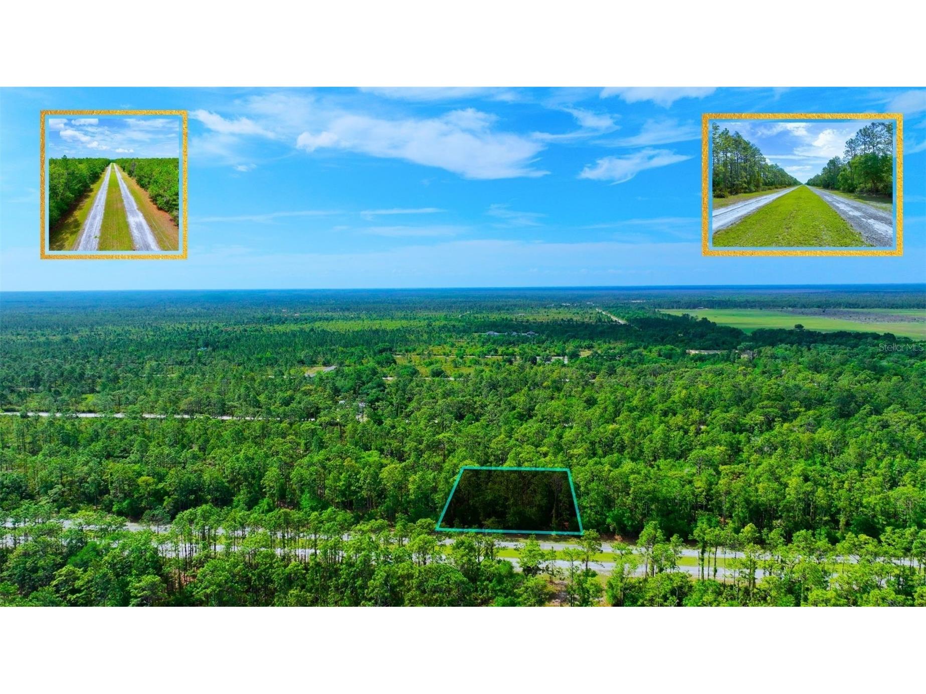 TBD Lot 20 Japonica Avenue Indian Lake Estates FL 33855 A4689753 image6