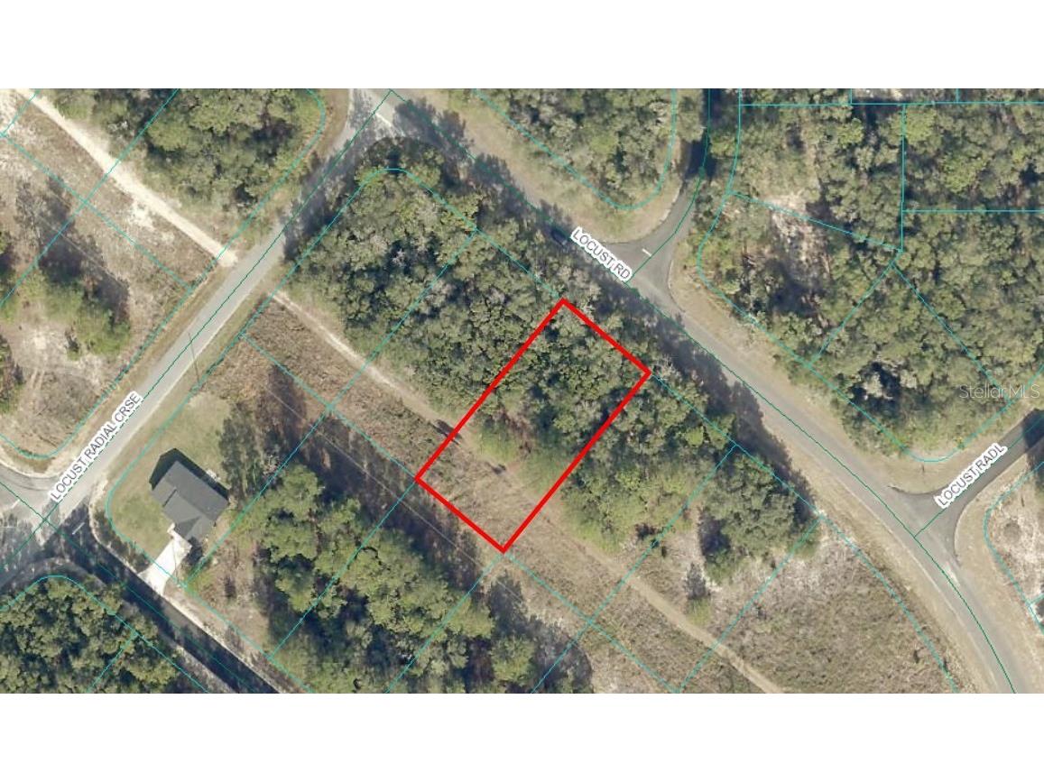 TBD LOT 20 Locust Road Ocala FL 34472 OM700918 image1