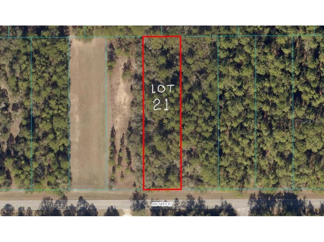 TBD LOT 21 SW 54th Street Dunnellon FL 34431 OM659691 image1
