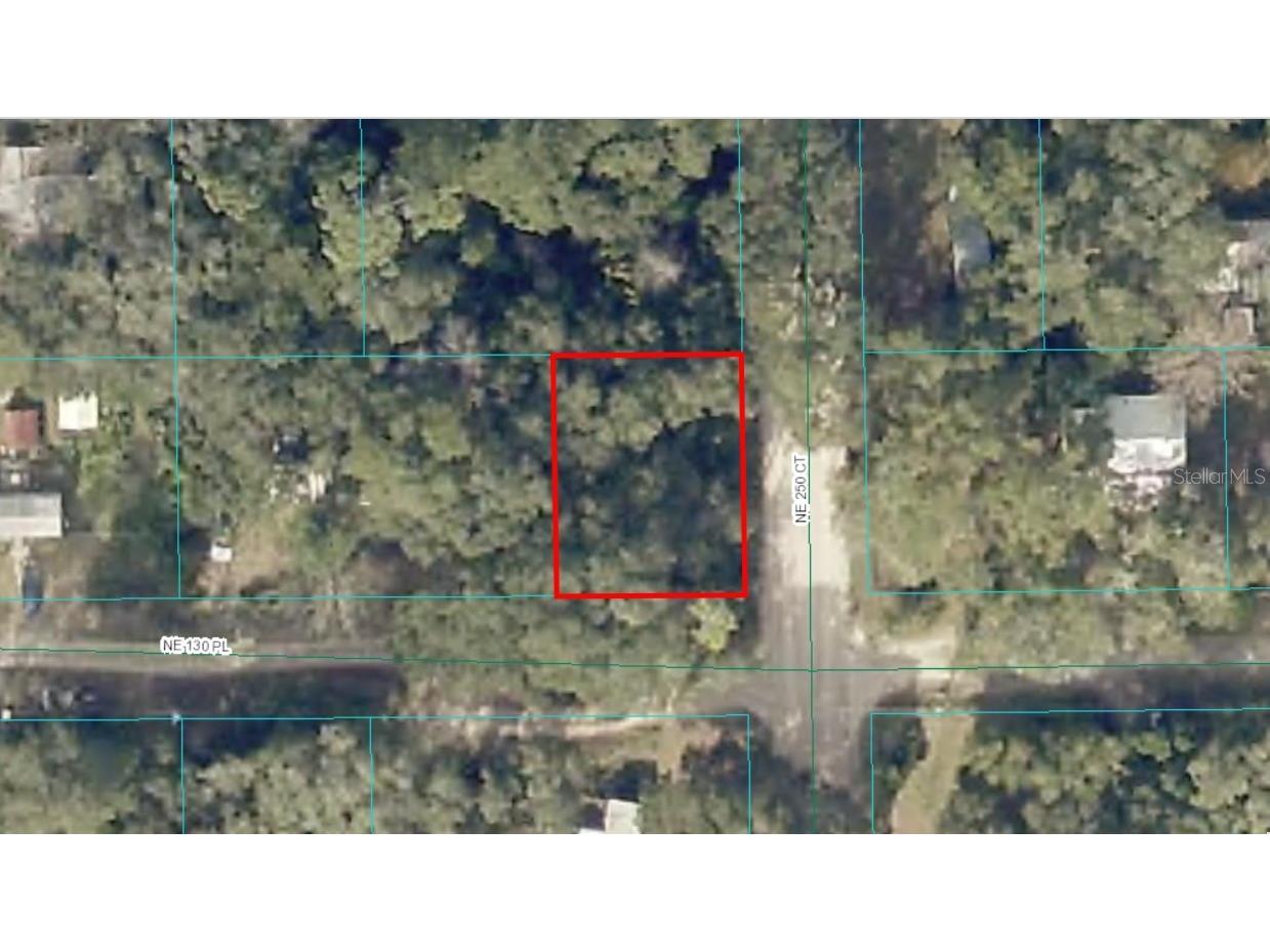 TBD LOT 27 NE 130th Place Salt Springs FL 32134 OM699551 image1
