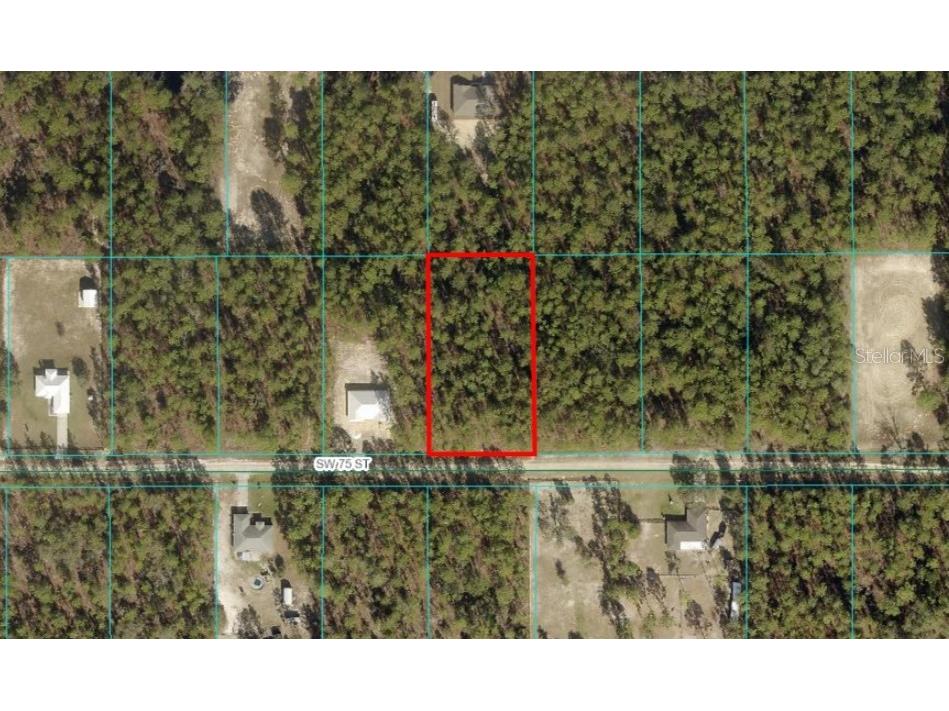 TBD LOT 3 SW 75th Street Dunnellon FL 34432 OM683607 image1