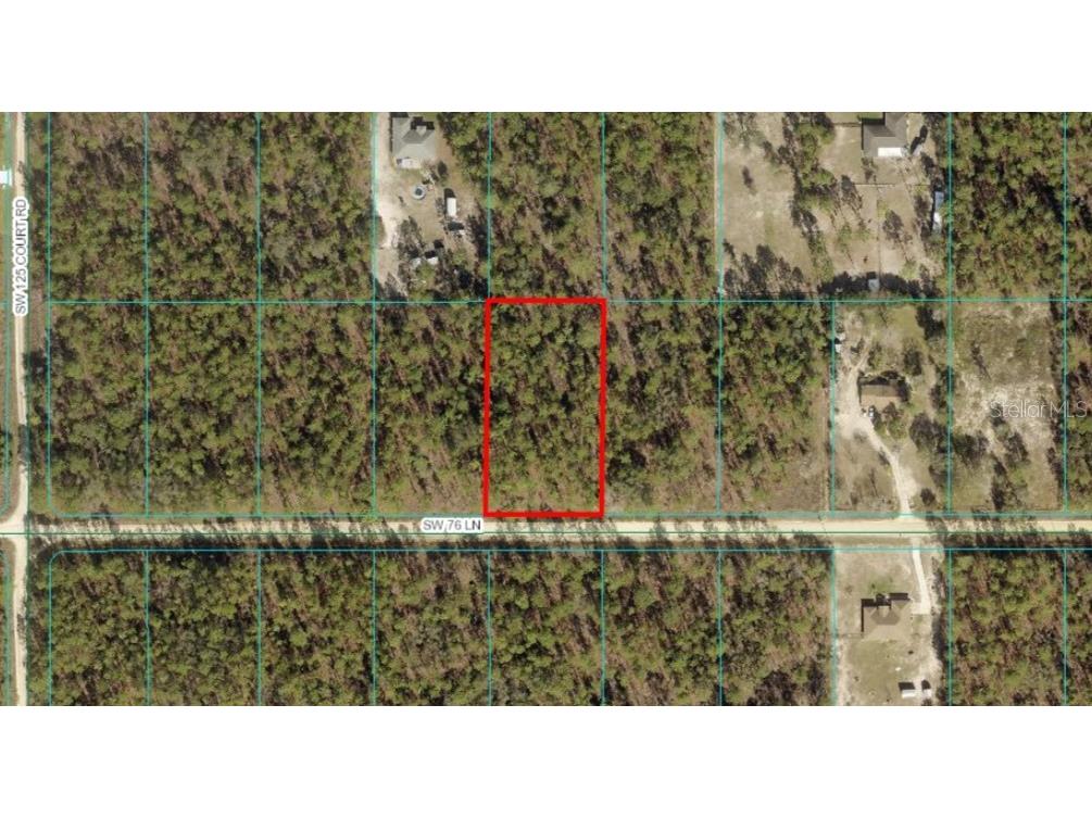 TBD LOT 3 SW 76th Lane Dunnellon FL 34432 OM683602 image1