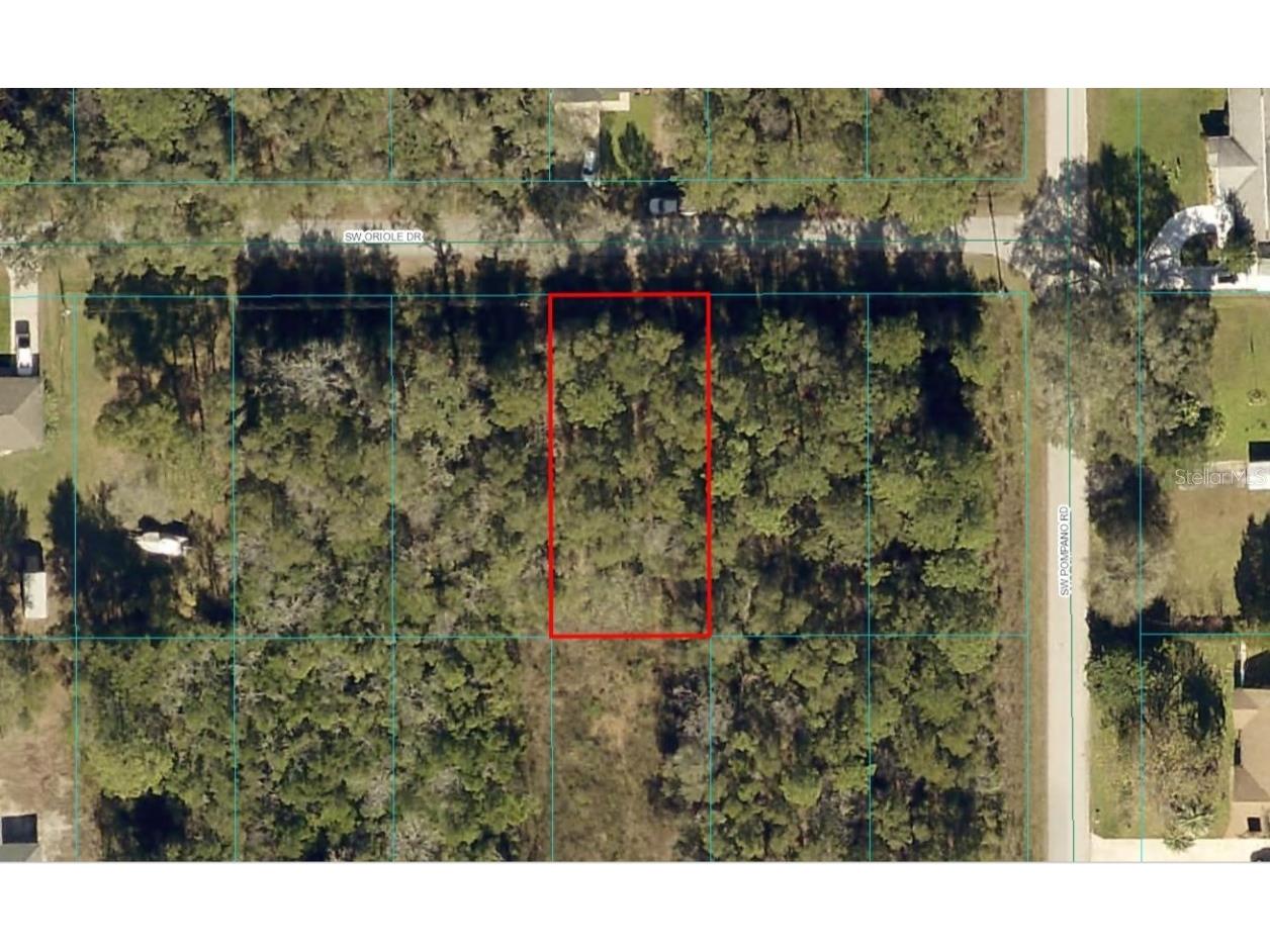 TBD LOT 3 SW Oriole Drive Dunnellon FL 34431 OM688842 image1
