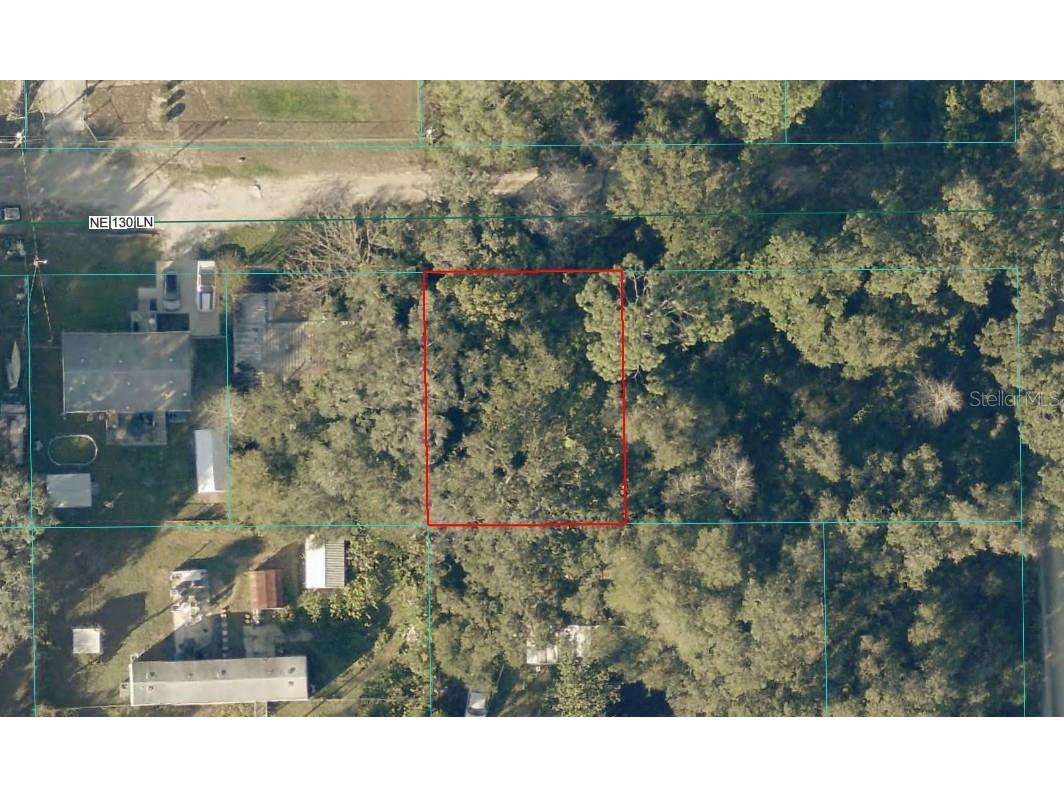 TBD LOT 34 NE 130th Lane Salt Springs FL 32134 OM724454 image1