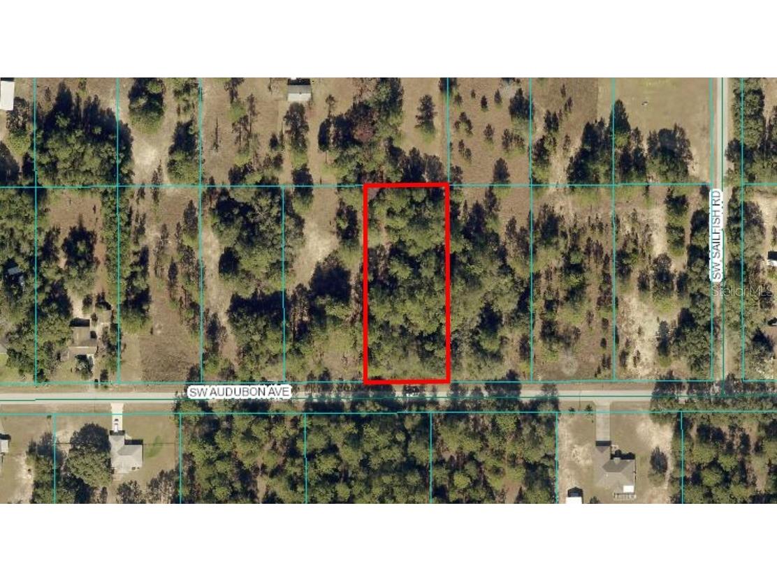 TBD LOT 35 SW Audubon Avenue Dunnellon FL 34431 OM697848 image1