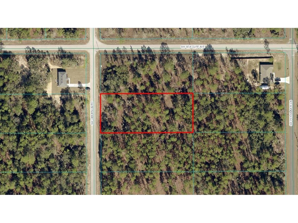 TBD LOT 39 SW Viburnum Road Dunnellon FL 34431 OM682929 image1