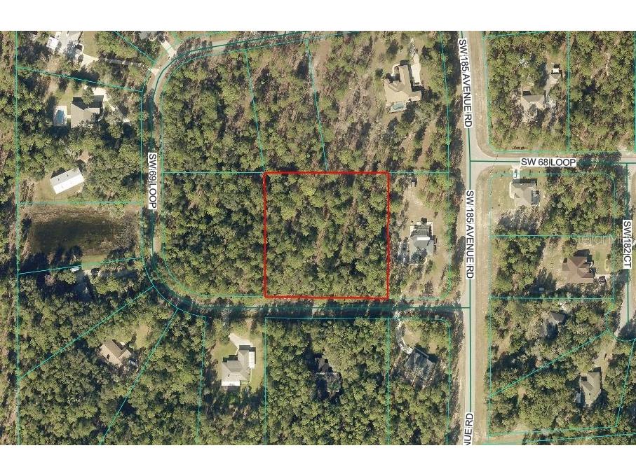 TBD LOT 6 SW 69th Loop Dunnellon FL 34432 OM721713 image1