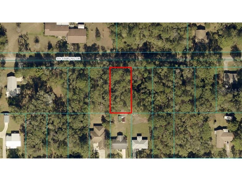 TBD LOT 7 SW Starling Drive Dunnellon FL 34431 OM688843 image1