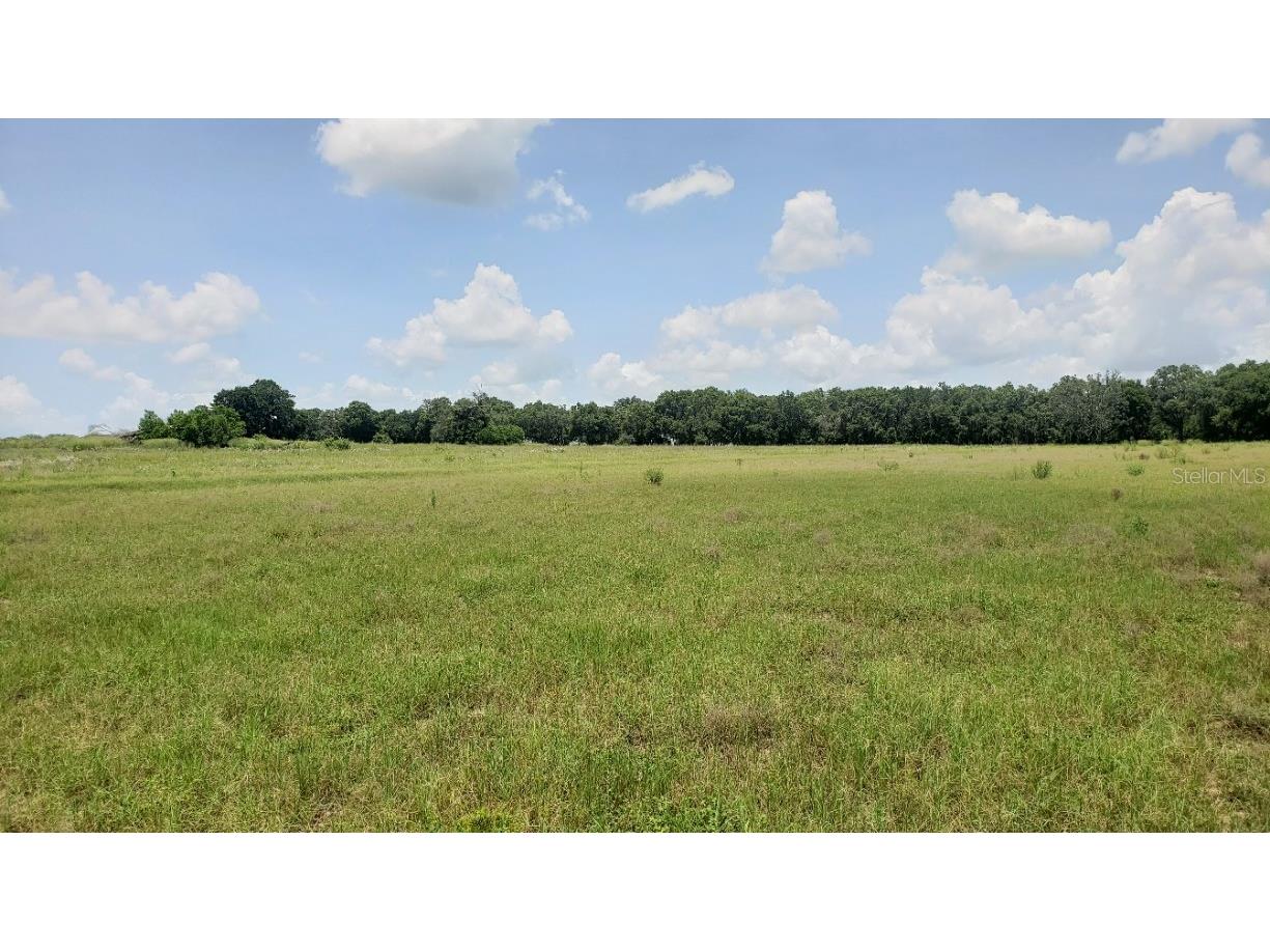 TBD - LOT 78 Taylor Road Heritage Estates Phase 2 Thonotosassa FL 33592 O6036414 image1