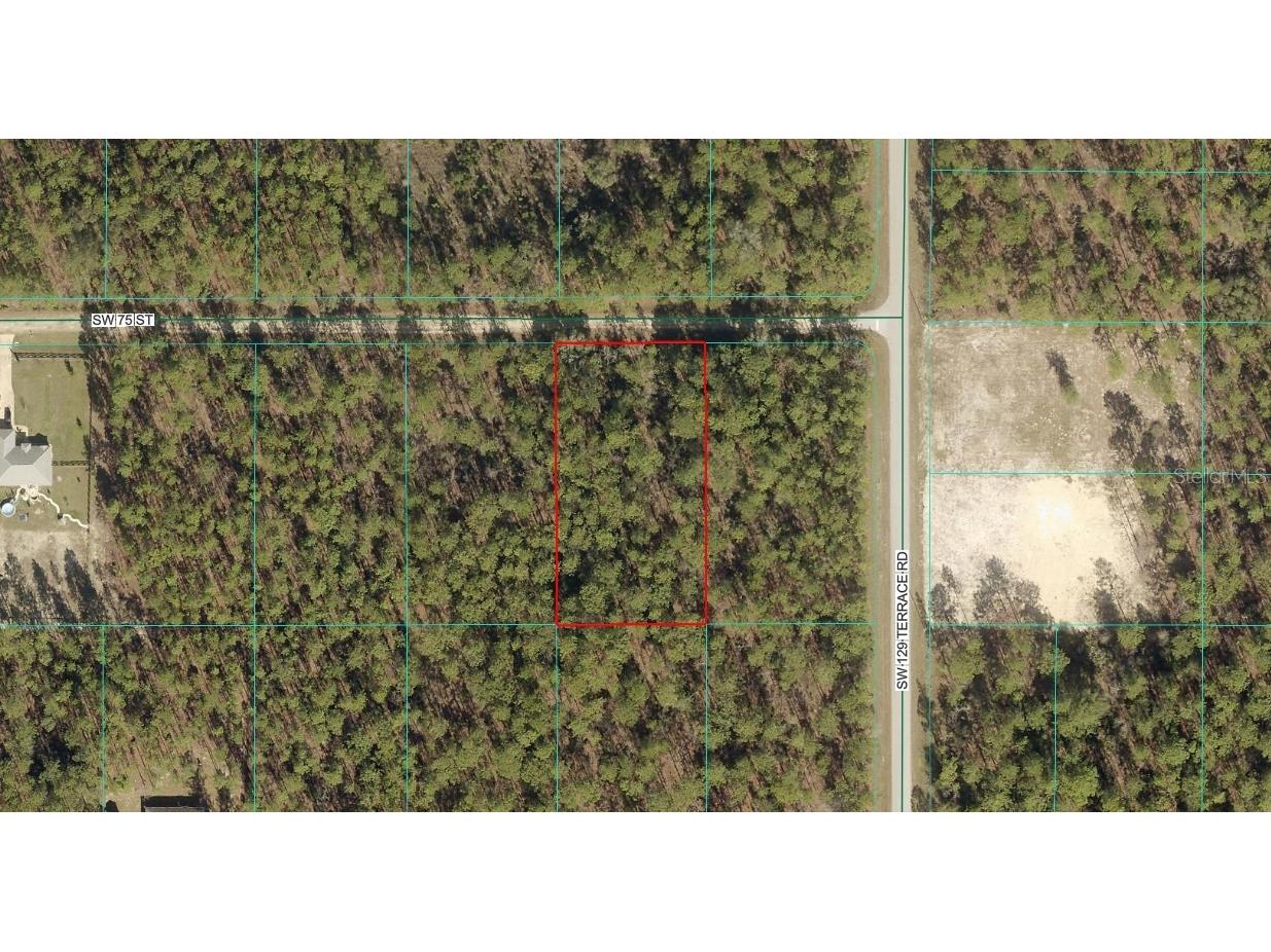 TBD LOT 8 SW 75th Street Dunnellon FL 34432 OM723578 image1