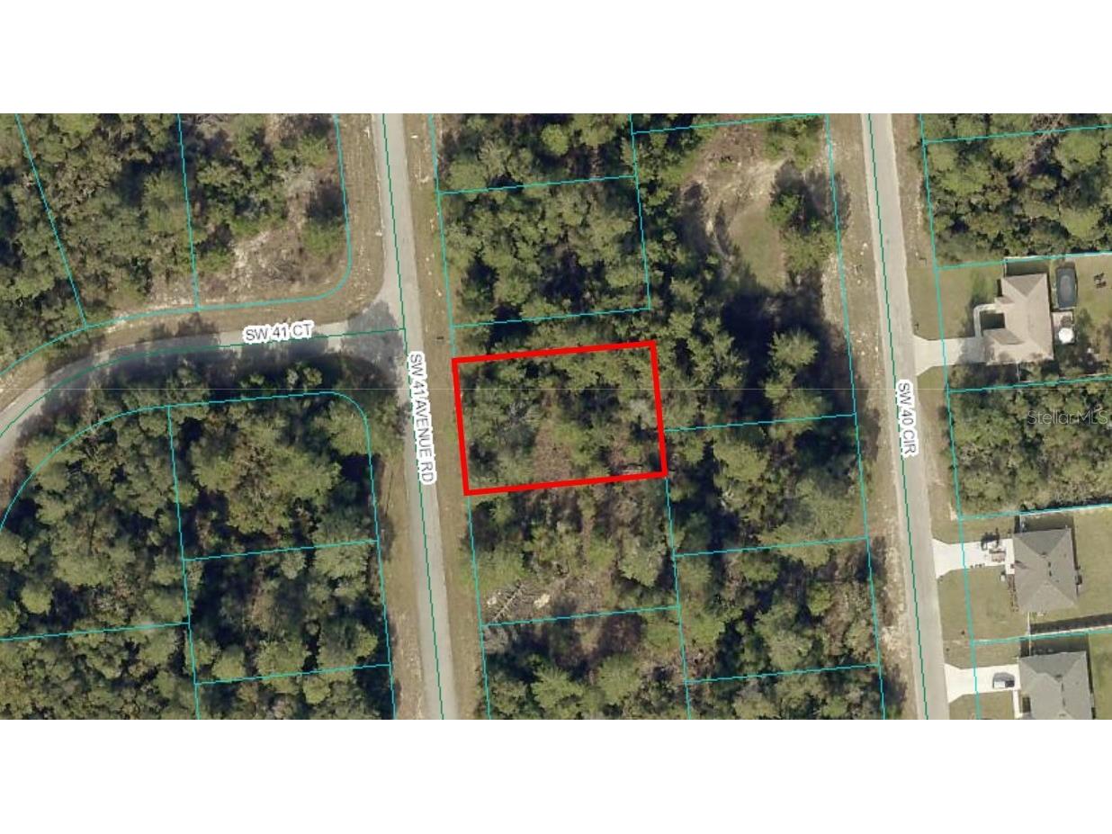TBD LOT 9 SW 41st Ave Road Ocala FL 34473 OM707495 image1