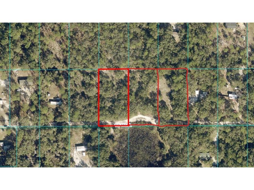TBD LOTS 103-105 SW 152nd Place Dunnellon FL 34432 OM698744 image1