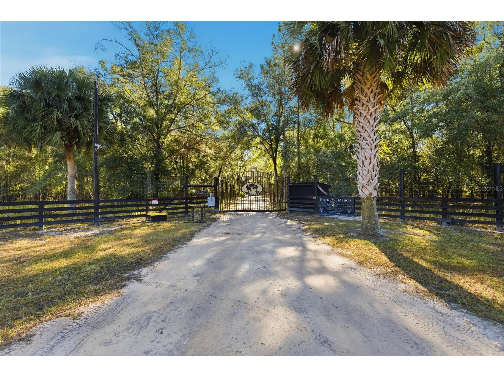 TBD (Lot 1) NE 115th Lane Road Fort Mc Coy FL 32134 OM727807 image3