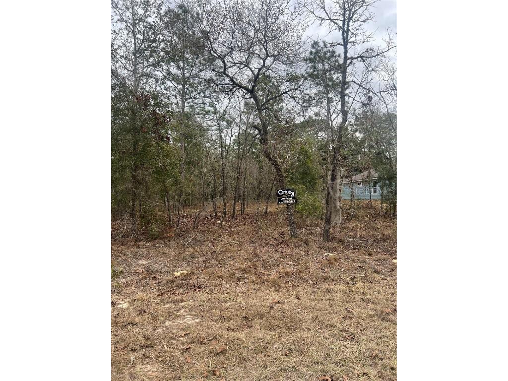 TBD Lot 1 NE 154th Avenue Williston FL 32696 OM694210 image1