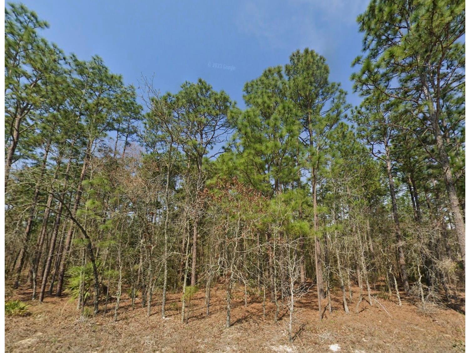 TBD (Lot 12) SW 128th Terrace Road Ocala FL 34481 OM723509 image1