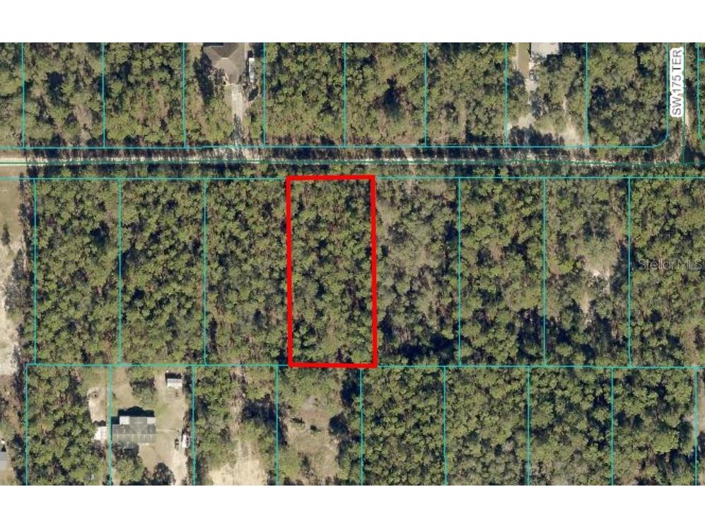 TBD Lot 13 SW 39th Street Dunnellon FL 34432 OM692892 image1