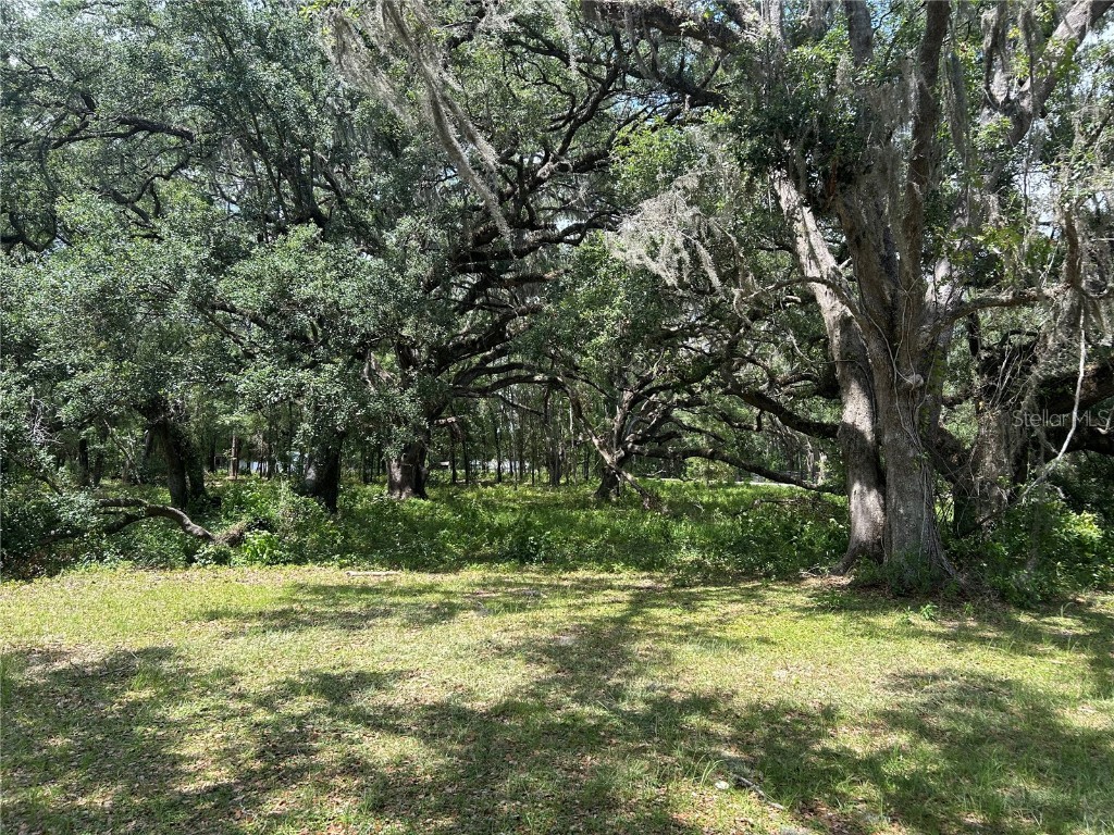 TBD (Lot #17) SE 192nd Court Morriston FL 32668 OM702778 image1