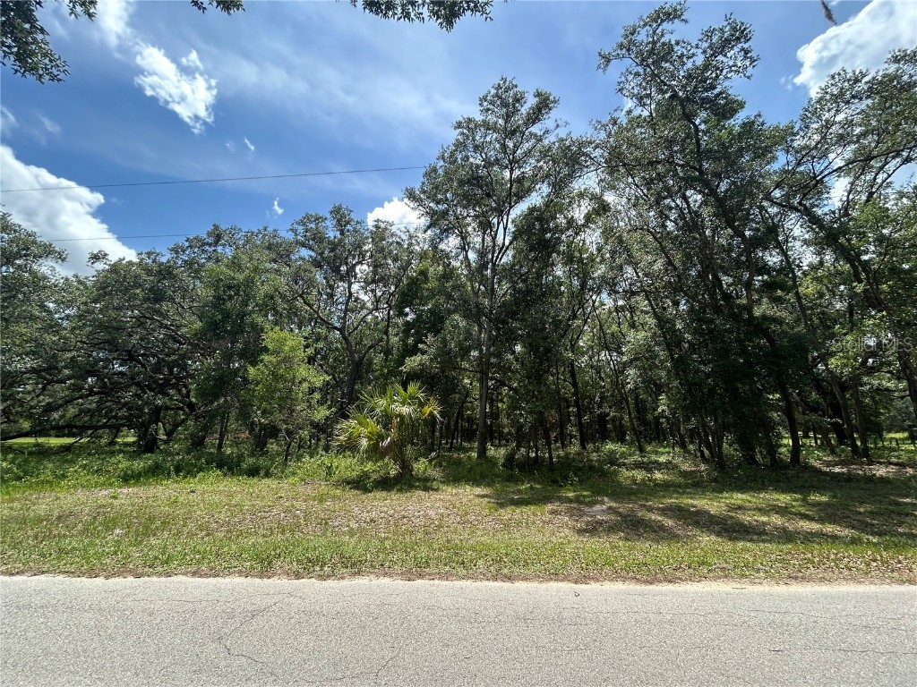 TBD (Lot #17) SE 192nd Court Morriston FL 32668 OM702778 image2