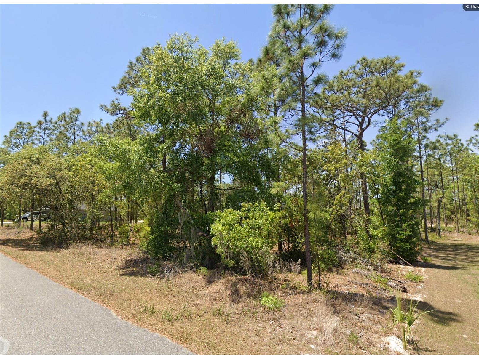 TBD Lot 25 Oak Lane Circle Ocala FL 34472 OM727480 image1